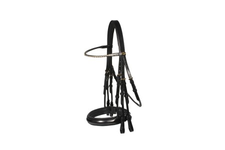 Bridle