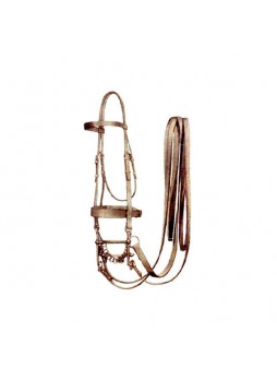 Bridle