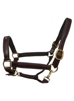 Halter