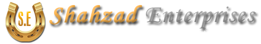 SHAHZAD ENTERPRISES